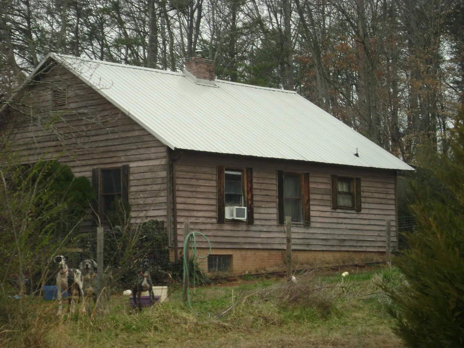 White metal roof on an old wood sided farmhouse, from a Asphalt Shingle Roof Repair job in Linesville